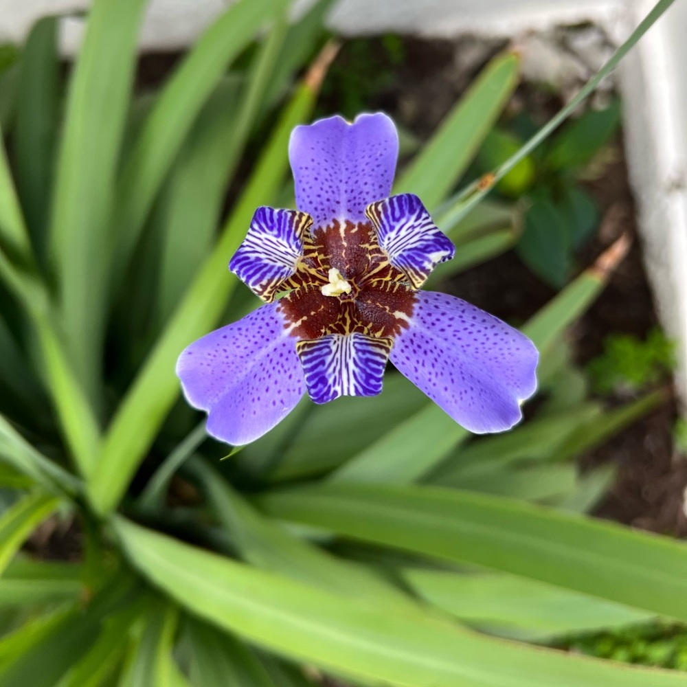 Hello!!! - Picture 4 of 7